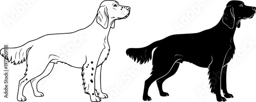 Illustration of two english setter dogs one in outline and one in solid black silhouette style image editable vector
