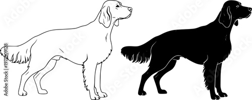 Illustration of two english setter dogs one in outline and one in solid black silhouette style image editable vector
