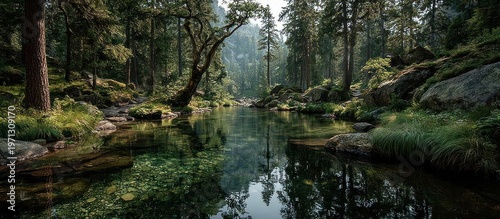 Forest lake scene with trees reflecting in calm water and rocky shores