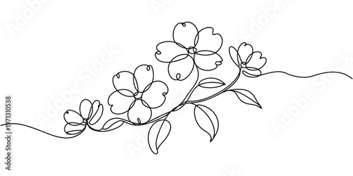 Dogwood Blossoms continuous one line drawing, Elegant dogwood floral outline, minimalist botanical illustration, Elegant single line drawing.