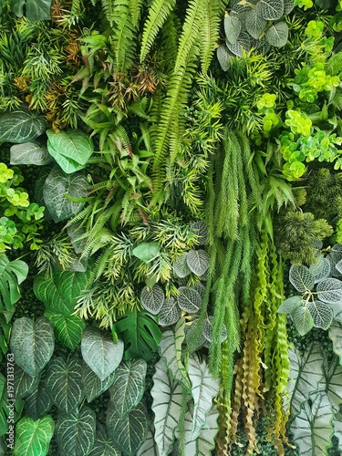 Plenty of green leaves for the background image.