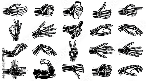 Human Hand Skeleton Gestures Anatomy Black  White Medical Line Art Collection