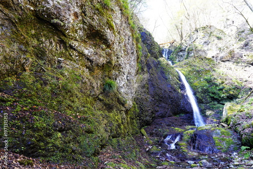 Wallpaper Mural 奈良県　川上村　大天井滝 Torontodigital.ca