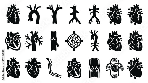 Medical Anatomy Glyphs Set: Human Heart  Blood Vessel Circulatory System Icons