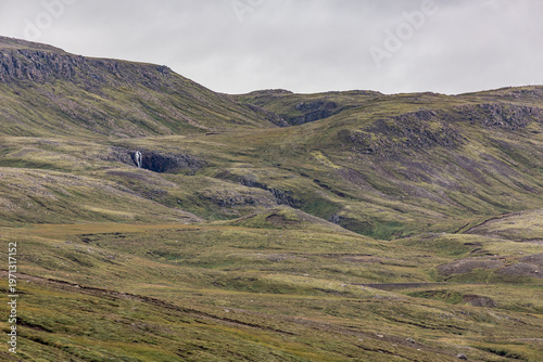 There is a sheep that is standing in the grass near a mountain, trying to hide near waterfall, Eastern Iceland