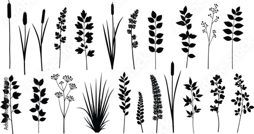 Collection of various wild grass and leaf silhouettes including bulrush and meadow plants isolated on white background for nature design elements.