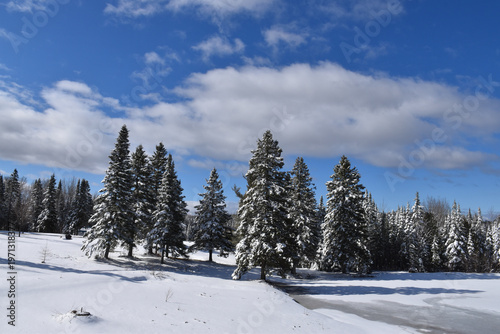 A last one bordered in the spring, Québec, Canada