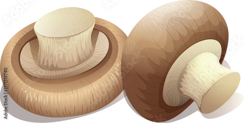 mushrooms on a white background
