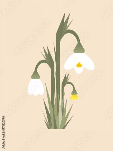 Billede på lærred Premium Snowdrop Vector Illustration