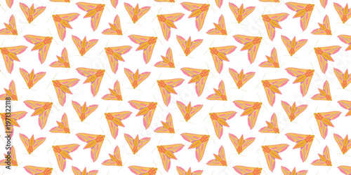 Seamless Pattern Elephant Hawk Moth Pink Green Nocturnal Insect