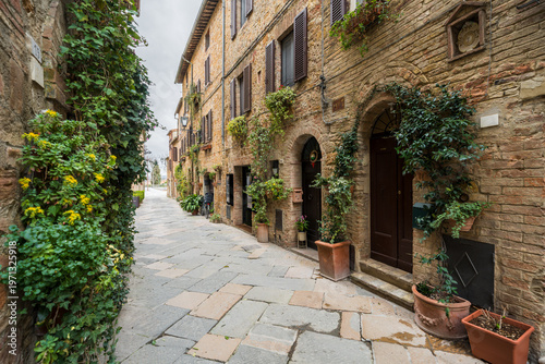 Pienza Tuscany Italy narrow street with stone buildings and plants