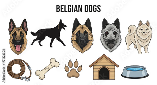 Collection of Belgian Dog Breeds and Accessories.