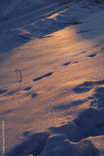 footprints in the snow