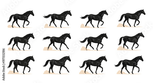 Twelve frame animation sequence of a black horse galloping, showing each stage of the gait in a detailed illustration on a white background.