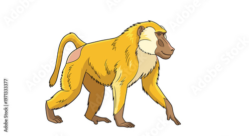 Side view illustration of a yellow baboon with its characteristic facial features walking across a plain white background.