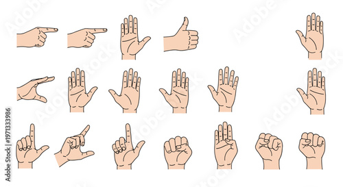 Collection of illustrations showing different human hand gestures such as pointing thumbs up and fist on a white background.