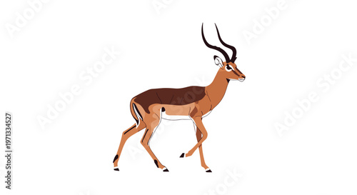 Side view illustration of a graceful brown and tan impala antelope standing alert on a plain white background.