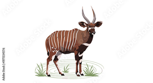 Bongo antelope standing on a patch of grass showcasing its unique white vertical stripes and curved horns in nature.