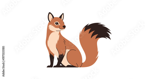 Red squirrel sitting with its large bushy tail curled up looking back in a cute and charming woodland animal illustration.