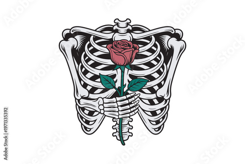 A striking illustration features a human ribcage delicately holding a vibrant red rose symbolizing love and mortality on transparent background high-quality.