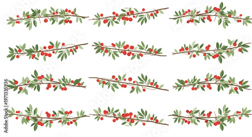 Collection of twelve horizontal branches with green leaves and clusters of small red berries on a plain white background.