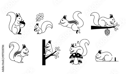 A set of cute squirrel illustrations in a minimalist line art style
