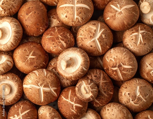 Close-up detailed view of a pile of fresh whole shiitake mushrooms, showing the varied textures and rich earthy brown colors of their caps and undersides