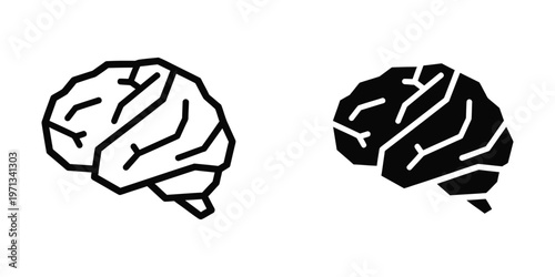 Contrasting visual representations of the human brain from different perspectives