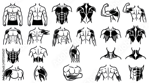 Fitness  Anatomy Male Body Muscle Groups Black  White Line Art Glyphs Set
