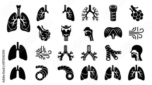Medical Respiratory System Lungs Breathing Anatomy Glyph Vector Icons Set