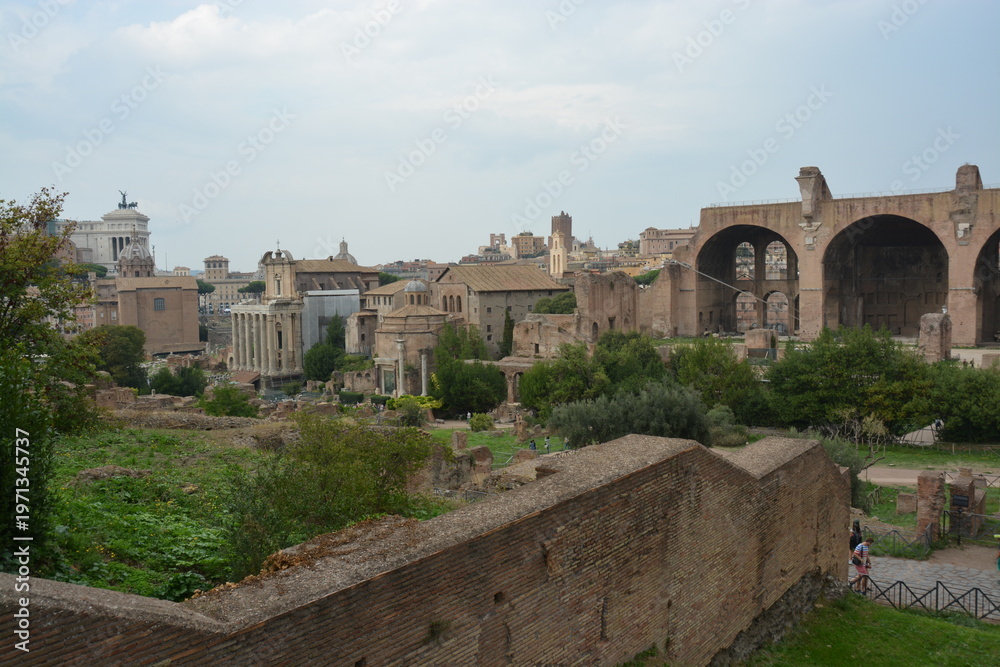 Fototapeta premium イタリア ローマのフォロ・ロマーノ