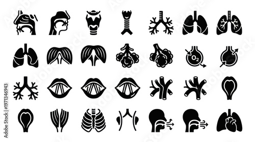 Medical Human Respiratory System Anatomy and Breathing Glyph Icons Set
