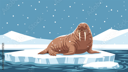 Large brown walrus with long tusks sitting on an ice floe in the arctic sea, winter wildlife scene for educational books.