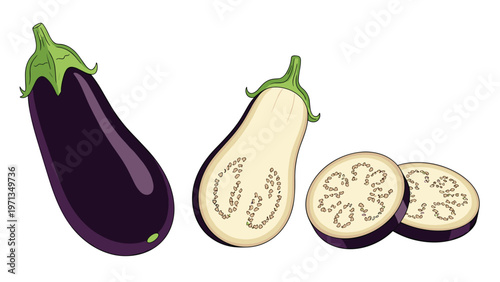 Illustration of a whole dark purple eggplant along with halves and round slices showing the inner texture and seeds.