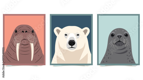 Set of three expressive portraits featuring an arctic walrus, a polar bear, and a seal against different solid colored backgrounds.