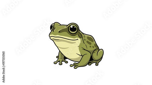 Detailed and colorful illustration of a green bullfrog sitting peacefully on a white background with realistic skin textures shown.