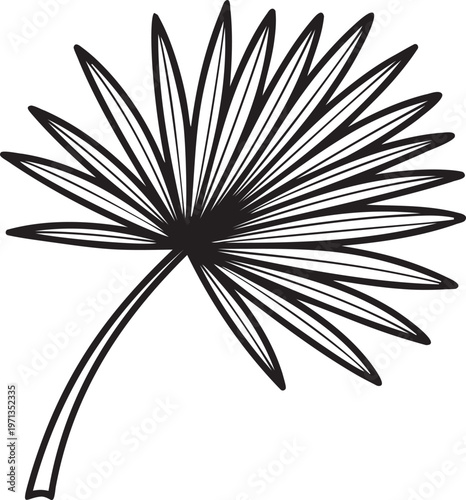 Palm leaf vector illustration with fan shape for tropical decoration.