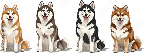 Realistic Husky Dog Vector Set with Siberian Huskies, Sitting Poses, Multicolor Coat Variations, Pet Illustrations, Cute Canine Portraits for Web, Apps, and Print Designs