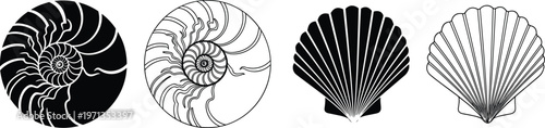 Seashell Vector Set Illustrations Featuring Nautilus Shells and Scallop Shells in Black and White Silhouette and Line Art Styles for Marine, Ocean, and Coastal Designs
