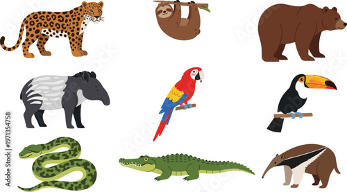 Tropical Jungle Animal Vector Set with Leopard, Sloth, Bear, Tapir, Parrot, Toucan, Snake, Crocodile, and Anteater Illustrations for Wildlife, Educational, Web, Apps, and Print Designs