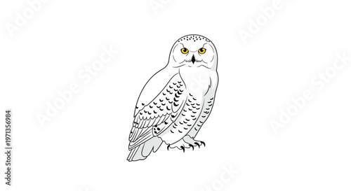 Detailed illustration of a majestic snowy owl perched on a white background with white and black speckled feathers.