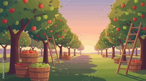 Vector illustration of an apple farm at sunrise. Rows of trees, baskets of red and green apples, and ladders create a peaceful, bountiful scene for food or seasonal concepts.