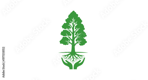 Green tree with roots growing.