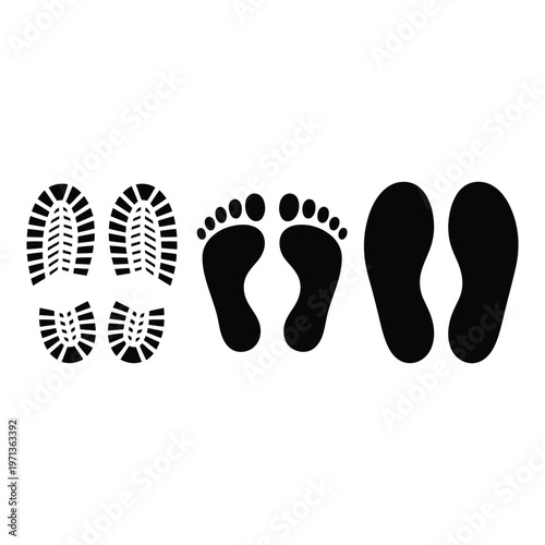 Hair Follicle Care Icons Illustrating Scalp Treatment and Revitalization Stages