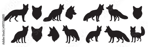  fox silhouette white background 