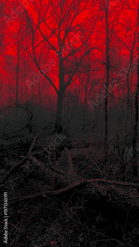 Dark Eerie Forest with Blood Red Sky and Silhouetted Bare Trees. Vertical Panorama 
