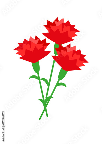 母の日 カーネーションのイラスト素材