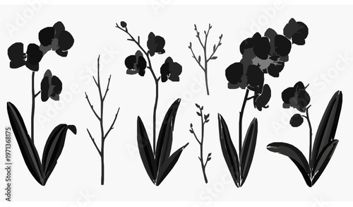 Orchid Silhouette Set Hand Drawn Floral Twig Vector Illust