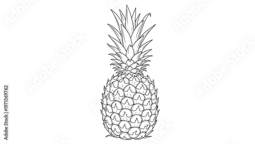 Detailed black and white line drawing of a whole pineapple fruit with its leafy crown on a clean white background.