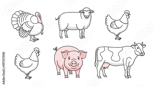 Cute collection of colorful hand drawn farm animals including a turkey sheep chicken hen pig and cow on a white background.